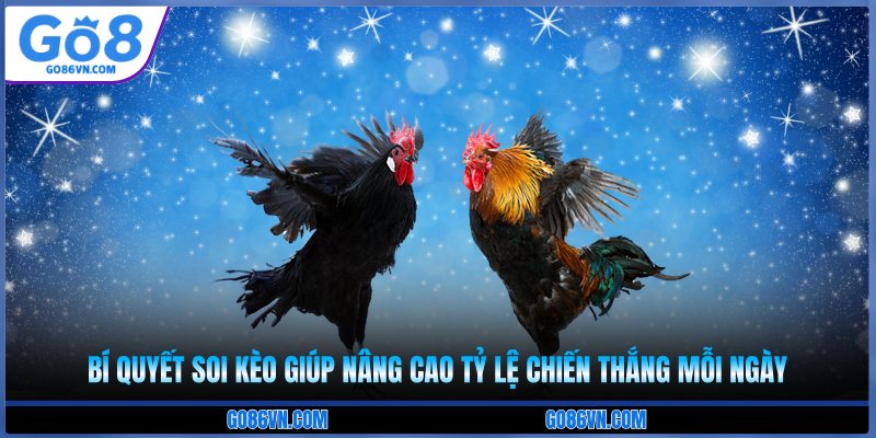 Bí quyết soi kèo giúp nâng cao tỷ lệ chiến thắng mỗi ngày