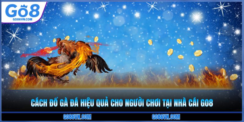 cách đổ gà đá