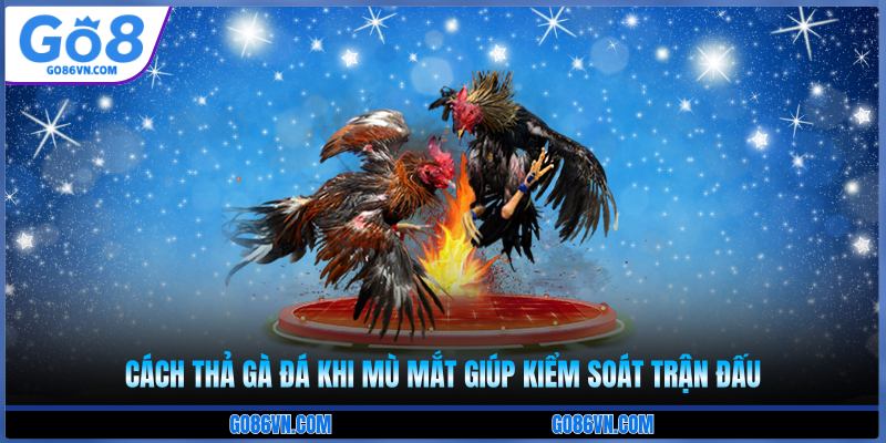 cách thả gà đá khi mù mắt