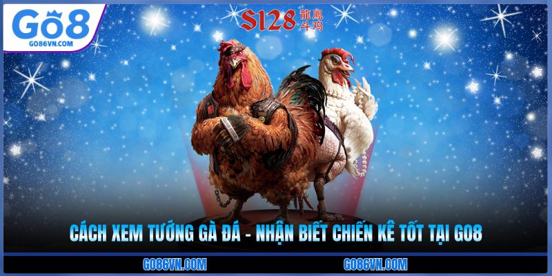 cách xem tướng gà đá