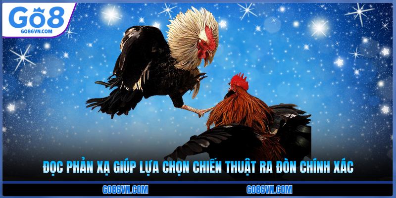 Đọc phản xạ giúp lựa chọn chiến thuật ra đòn chính xác 