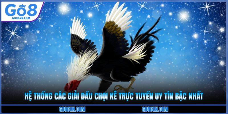 Hệ thống các giải đấu chọi kê trực tuyến uy tín bậc nhất