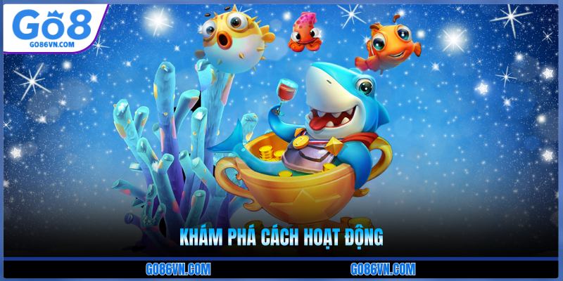 Khám phá cách hoạt động