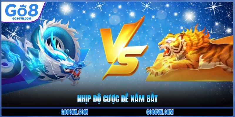 Nhịp độ cược dễ nắm bắt