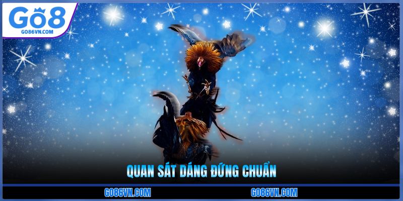 Quan sát dáng đứng chuẩn