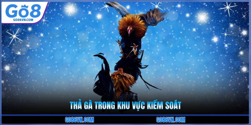 Thả gà trong khu vực kiểm soát 